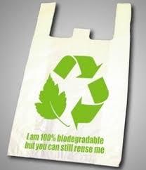 Plastic Biodegradable Bags, For Packaging, Size : Standard