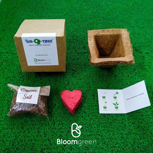 Bloom Green Ecofriendly Plantable Seed Ball, For Return Gift