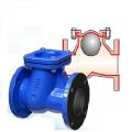 CI Rubber Lined Check Valve