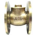 LEADER Gun Metal Check Valve