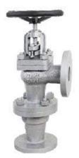 IBR Accessible Feed Check Valve