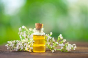 VALERIAN OIL, Botanical Name : Valeriana officinalis