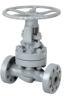 Body -WCB Gate Valve