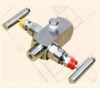 A479 304 Multiport Gauge Valve