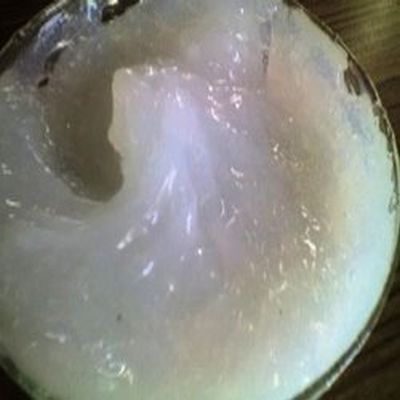 Tribo Lubes Soft Teflon Grease, For Machinery Use, Purity : 99.9%