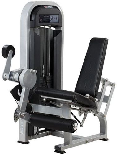 Seated Leg Extension