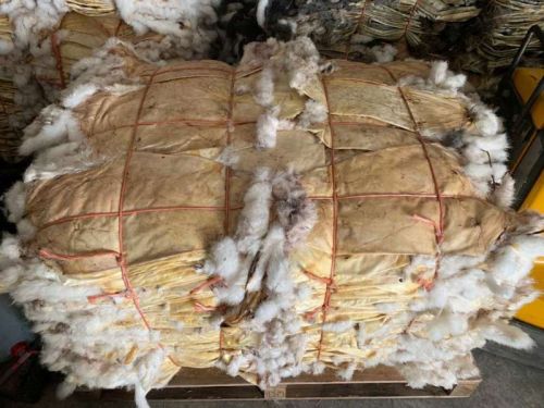 Dried Rabbit Skins For Personal