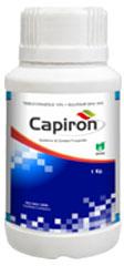 Capiron Tebuconazole 10% and Sulphur 65% WG Fungicide