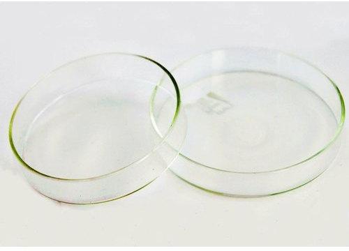 Polished 0-50gm Laboratory Glass Petri Dish, Feature : Heat Resistant, Light Weight