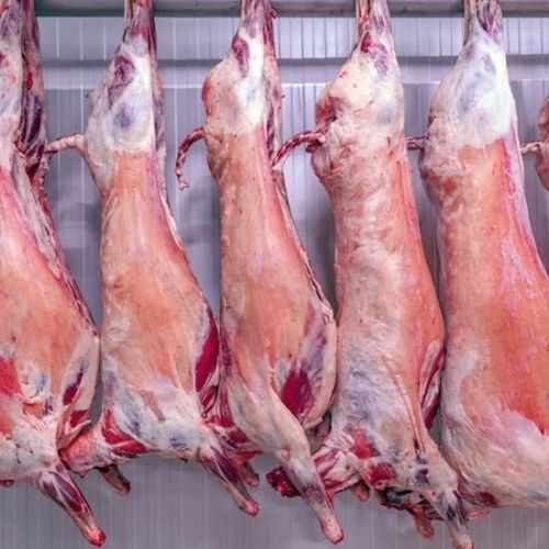 Raw Natural Mutton Carcass -Mutton Chopped, For Cooking, Packaging Type : Thermocol