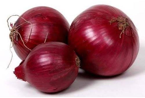 Organic Fresh Red Onion, Packaging Type : Plastic Packet