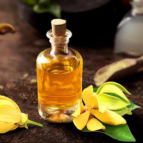 Ylang Ylang Oil, Certification : ISO-9001: 2008