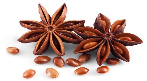 Star Anise Seeds, Style : Dried