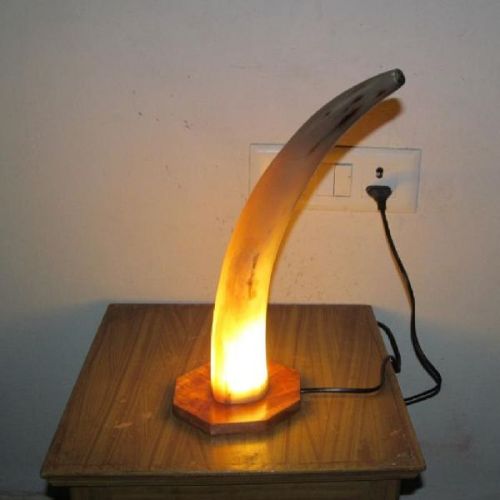 Polished Horn Lamp, For Home, Office, Feature : Durable, Fine Finished, Light Weight