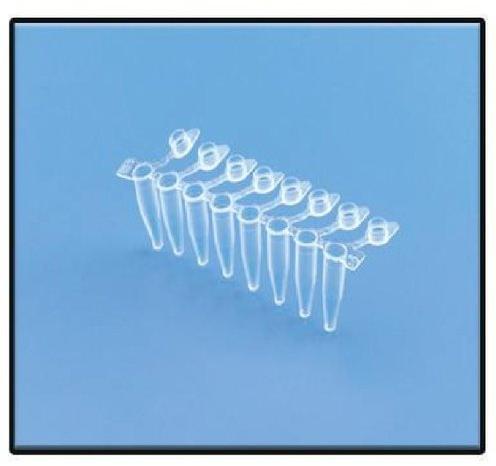 Polypropylene PCR Tube Strip, Color : Clear White