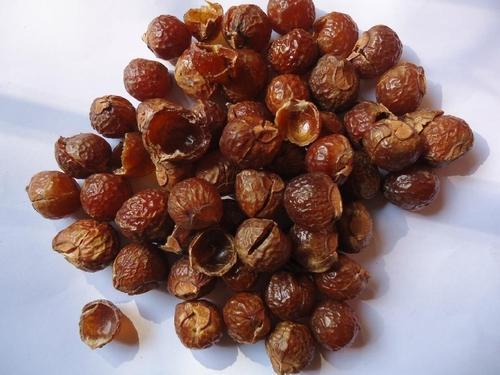 Soapnut Shells, For Cleansing Lotion, Protein Shampoo, Washing Cloths, Purity : 100%