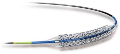 Plastic Coronary Stent