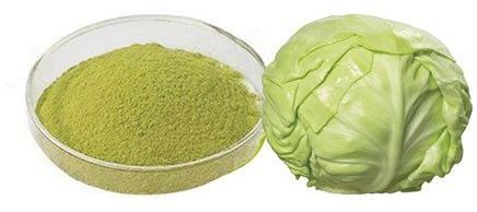 Cabbage Powder, Packaging Type : Plastic Packet