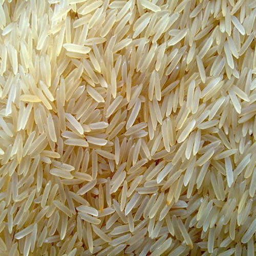 Organic PR 11 Basmati Rice, Color : White