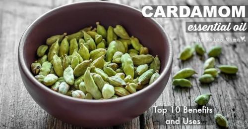 Cardamom Oil Pure and Natural, For Medicnes, Cooking, Feature : Good Quality, Gives Skin Radiance
