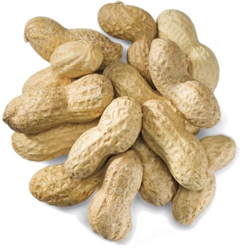 Natural Hybrid Shelled Groundnuts, For Making Flour, Making Oil, Making Snacks, Certification : FSSAI