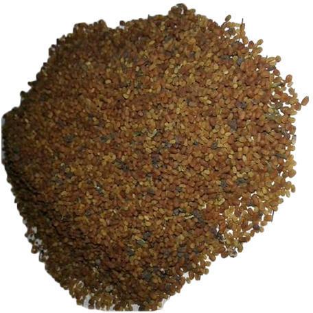 Kalmegh Seeds, Moisture : 7 to 8%