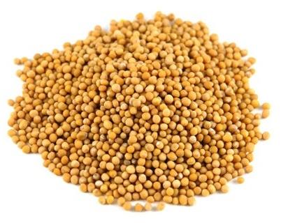 Raw Organic Dried Seeds Yellow Mustard, For Cooking, Packaging Type : Plastic Box