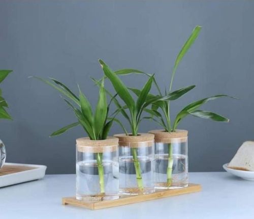 Polished Plain Decorative Glass Pots, Color : Transparent