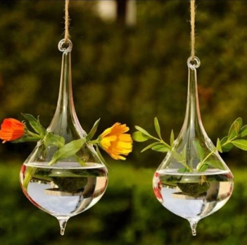 Polished Plain Hanging Glass Pots, Size : 15x15inch, 16x12Inch
