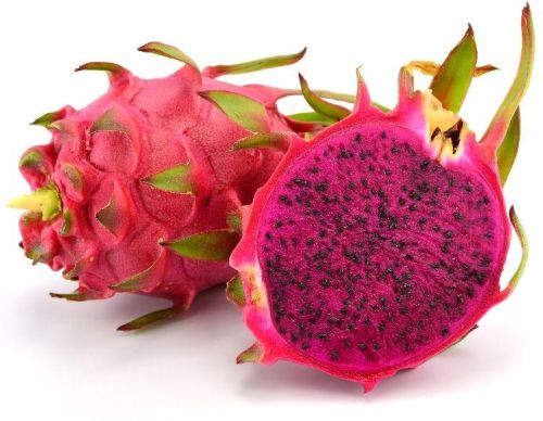 Organic Red Dragon Fruit, For Human Consumption, Packaging Type : Jute Bag