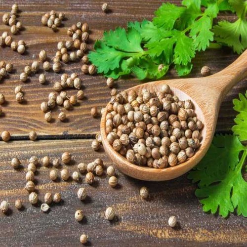 Natural Coriander Seeds, For Cooking, Grade Standard : Food Grade