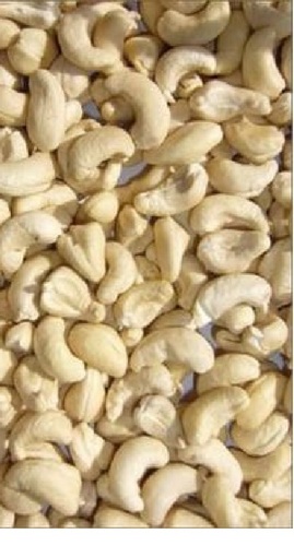 DW Cashew Nuts, Packaging Size : 1kg, 2kg, 5kg, 10kg, 20kg