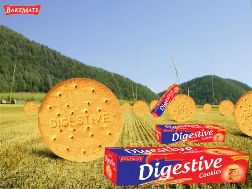 Crunchy Digestive Cookies, For Direct Consuming, Eating, Home Use, Hotel Use, Reataurant Use, Certification : FSSAI Certified