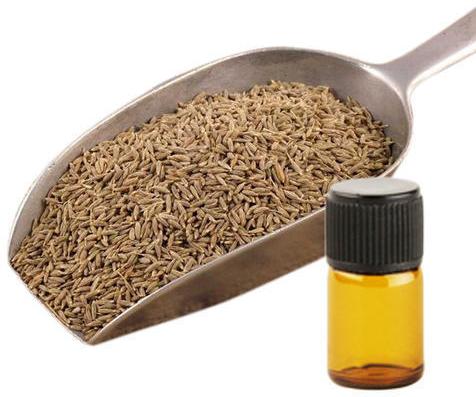 Cumin Seed Oil, Packaging Type : Glass Bottels