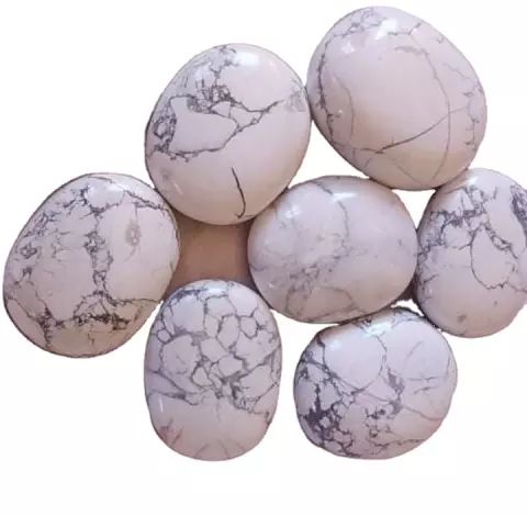 Gemstone Howlite Palm Stone