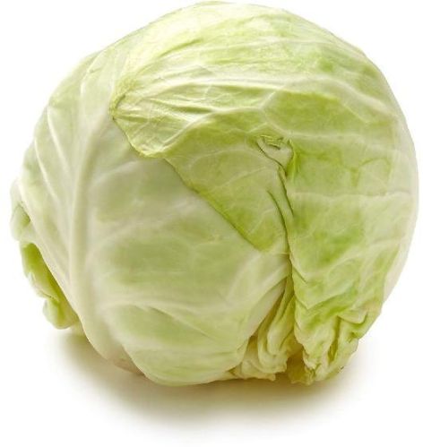 Organic Fresh Green Cabbage, For Good Nutritions, Good Health, Shape : Round