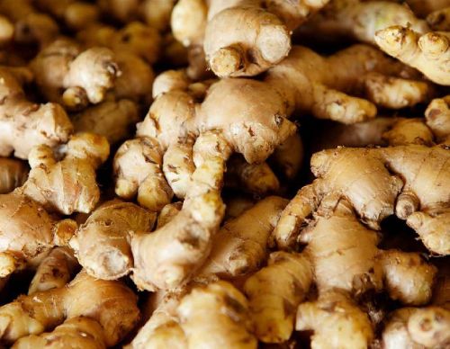 Organic Fresh Ginger, For Cooking, Cosmetic Products, Medicine, Packaging Type : Jute Bags