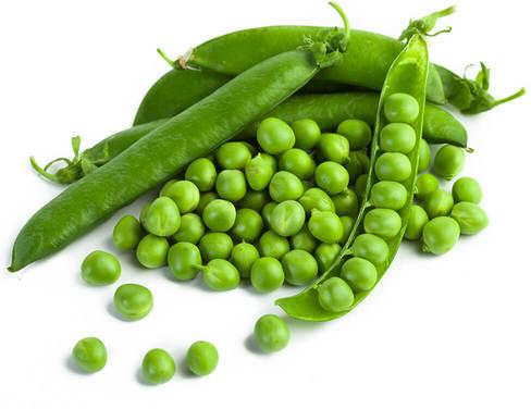 Organic Fresh Green Peas, For Good Nutritions, Good Health