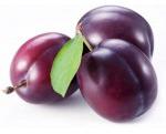 Fresh Plum