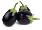 Organic Fresh Round Brinjal