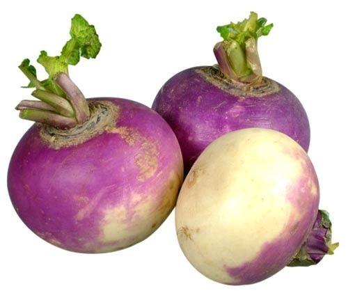 Fresh Turnip, For High In Protein, Packaging Type : Jute Bags, Loose