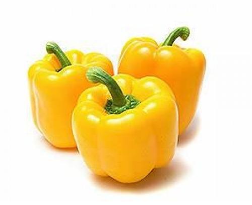 Fresh Yellow Capsicum, Packaging Type : Jute Bag, Plastic Bag