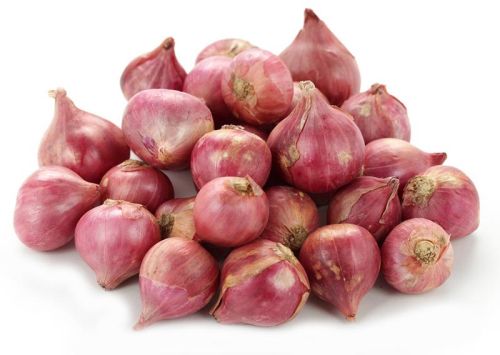 Organic Shallot Red Onion, Packaging Type : Plastic Packet