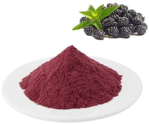 Jain Foods Spray Dried Blackberry Powder, Certification : FDA Certified, FSSAI Certified, ISO 9001:2008