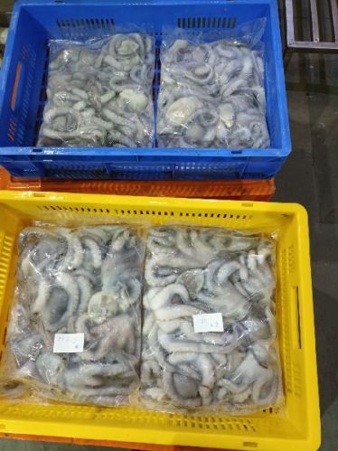 Sunlight Dry Baby Shrimp Jinga, For Cooking, Food, Human Consumption, Style : Frozen