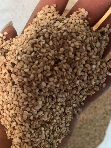 Sesame seeds, Packaging Type : Plastic packet