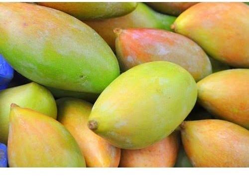 Fresh Totapuri Mango