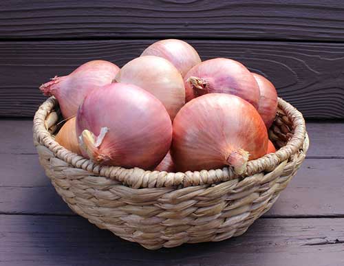 Fresh Pink Onion, Shelf Life : 15-30days