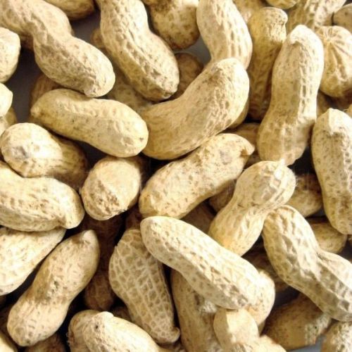 Shelled Groundnut