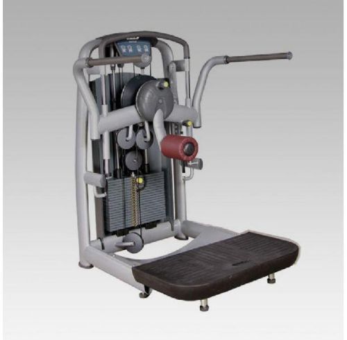 Stayfit Multi Hip Machine